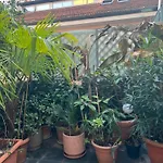 Apartment Romana Milan