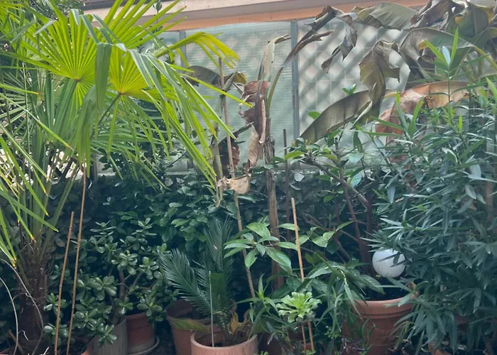 Apartment Romana Mailand